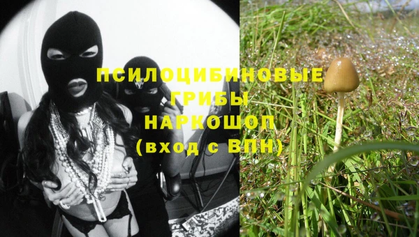 эйфоретик Абинск