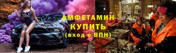 шишки Горно-Алтайск
