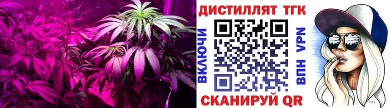 Дистиллят ТГК концентрат  Кириллов 