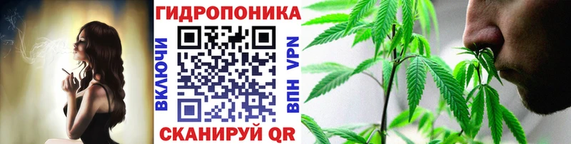 Шишки марихуана гибрид  Кириллов 